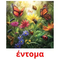 έντομα picture flashcards