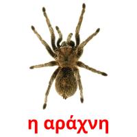 η αράχνη card for translate