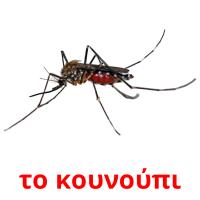 το κουνούπι card for translate