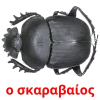 о σκαραβαίος picture flashcards