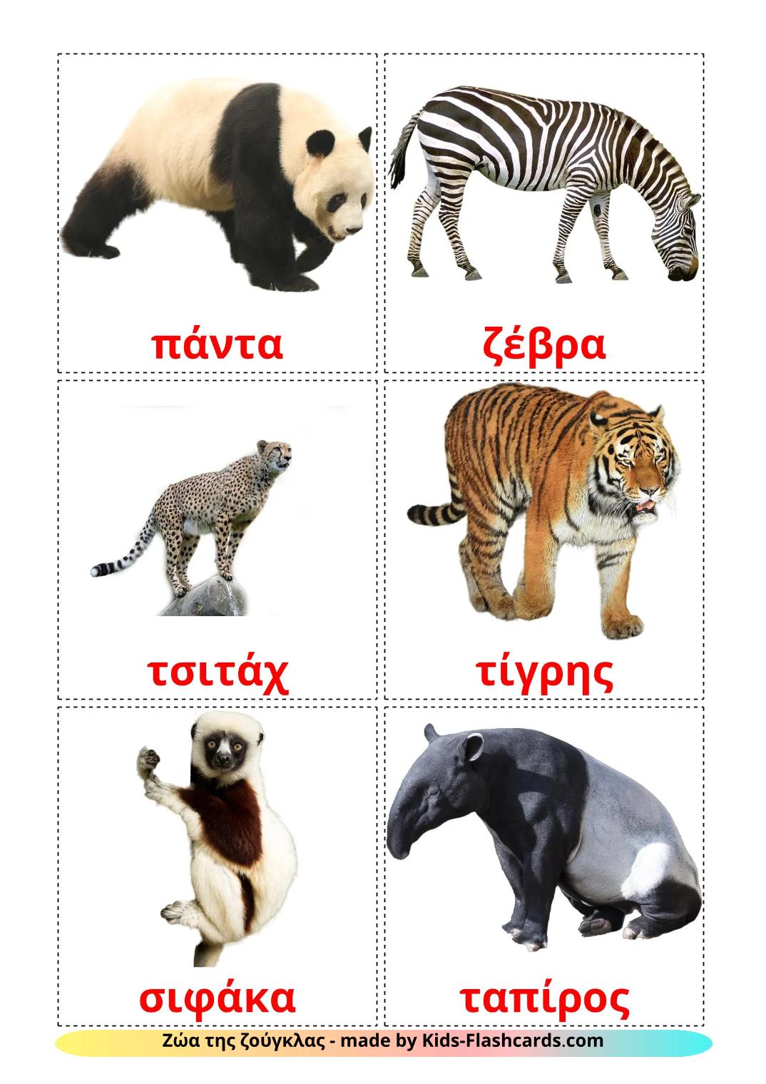 Jungle animals - 22 Free Printable greek Flashcards 