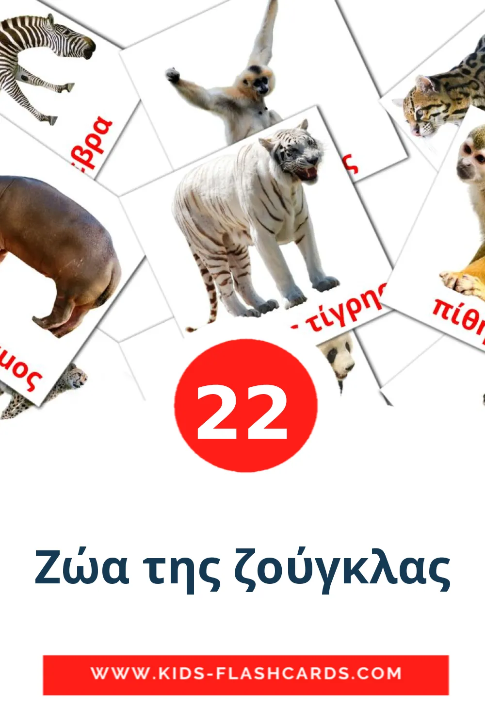 22 Ζώα της ζούγκλας Picture Cards for Kindergarden in greek