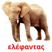 ελέφαντας picture flashcards