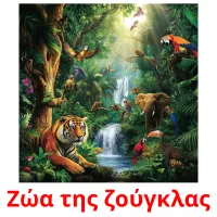 Ζώα της ζούγκλας picture flashcards