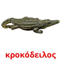κροκόδειλος card for translate
