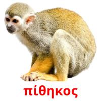 πίθηκος card for translate