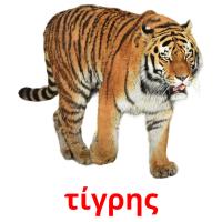 τίγρης card for translate