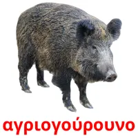 αγριογούρουνο Bildkarteikarten