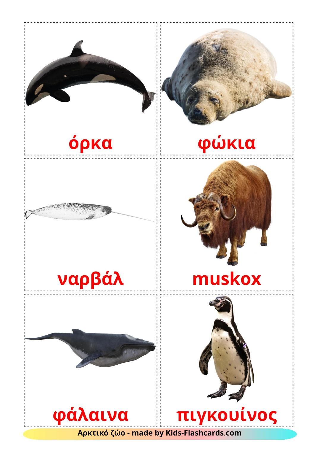 Animais do Ártico - 14 Flashcards gregoes gratuitos para impressão