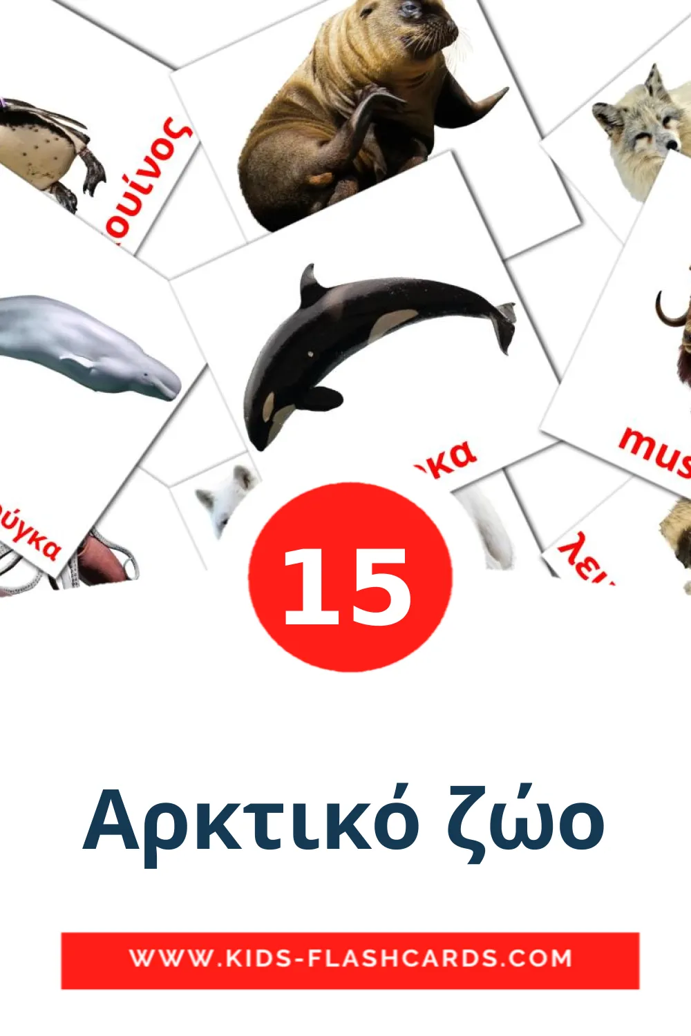 15 Αρκτικό ζώο Picture Cards for Kindergarden in greek