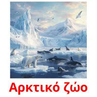 Αρκτικό ζώο picture flashcards