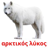 αρκτικός λύκος picture flashcards