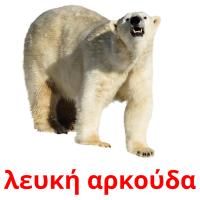 λευκή αρκούδα Bildkarteikarten