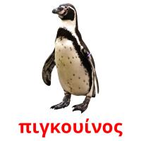πιγκουίνος picture flashcards