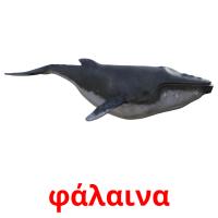 φάλαινα Tarjetas didacticas