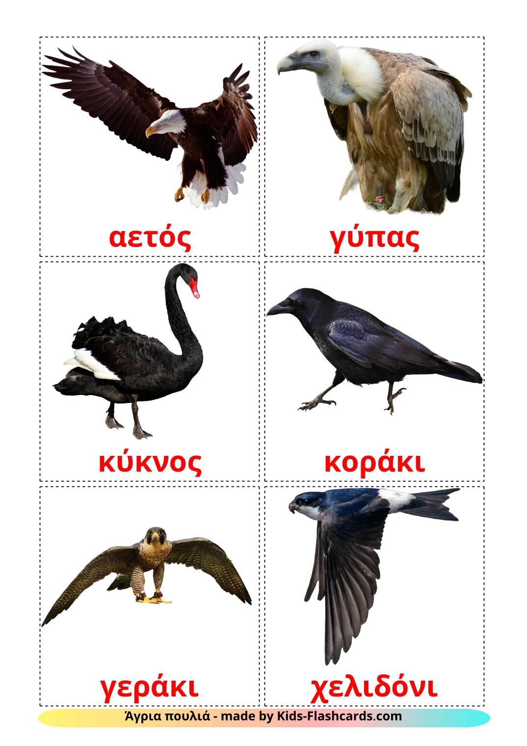 Wild birds - 19 Free Printable greek Flashcards 