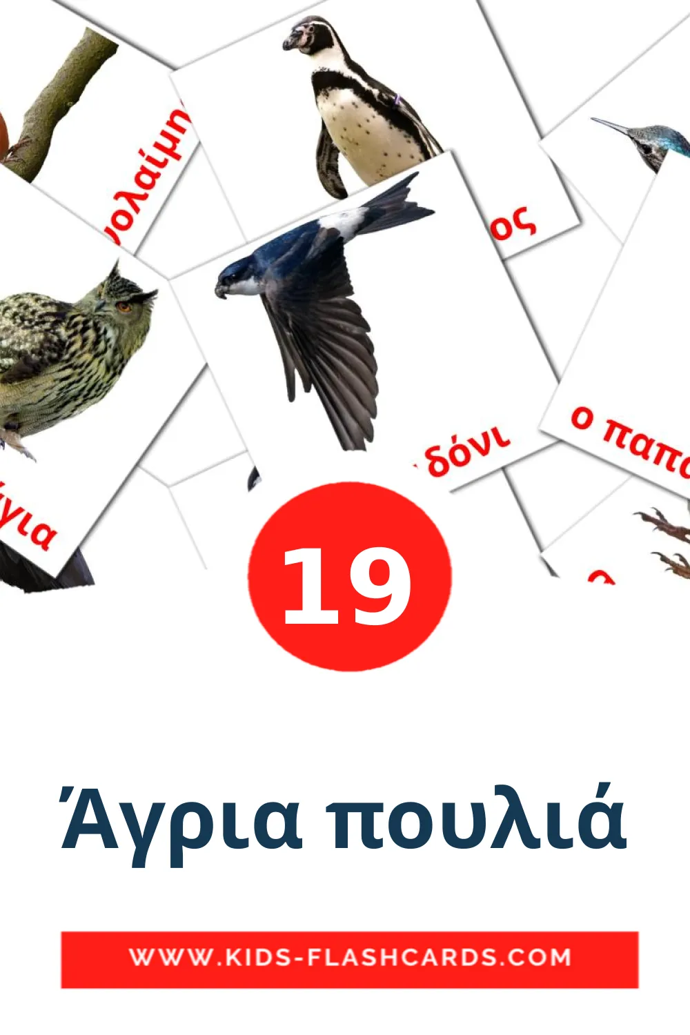 19 Άγρια πουλιά Picture Cards for Kindergarden in greek