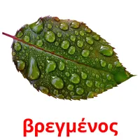 βρεγμένος picture flashcards