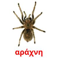 αράχνη card for translate