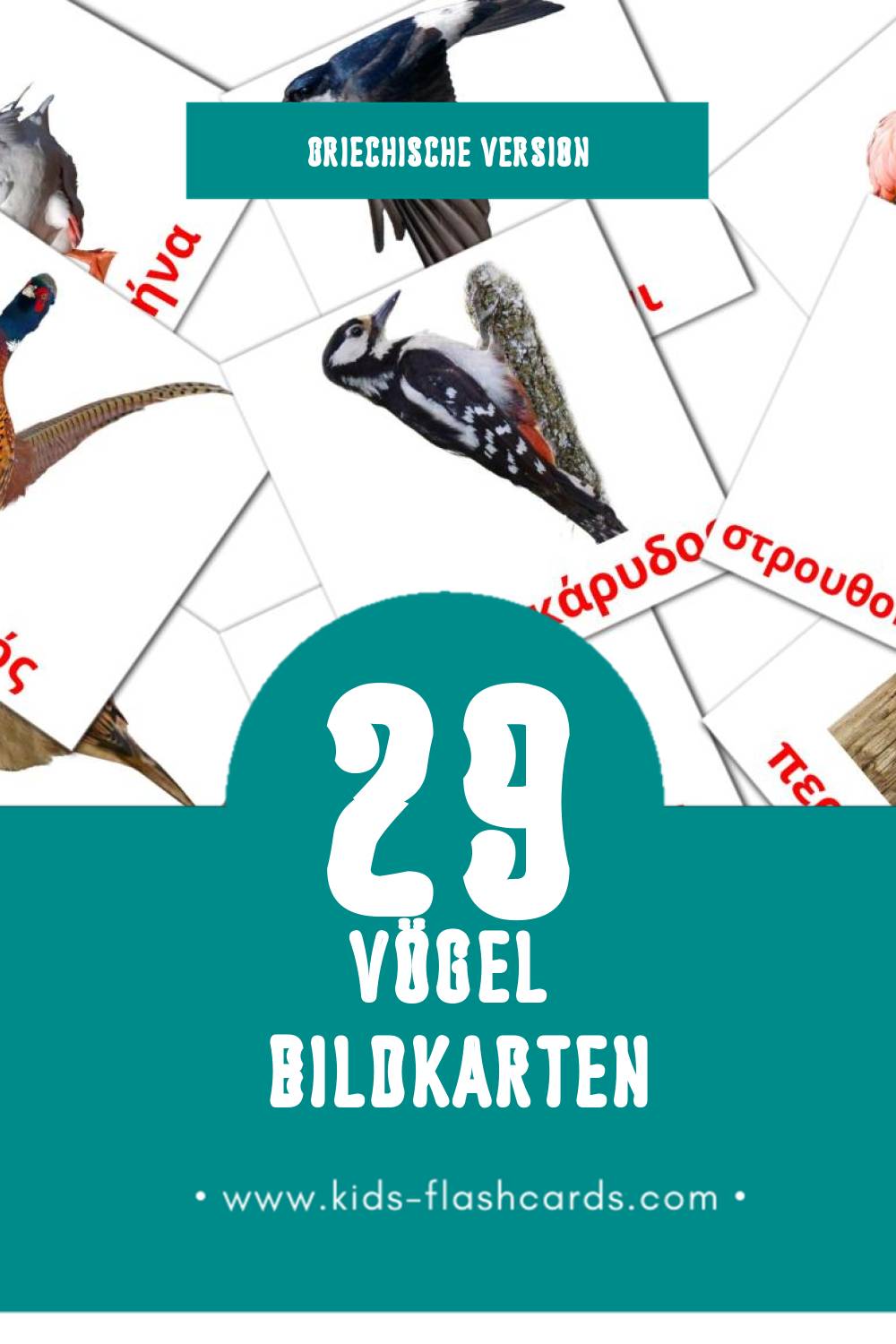 Visual Πουλιά Flashcards für Kleinkinder (29 Karten in Griechisch)