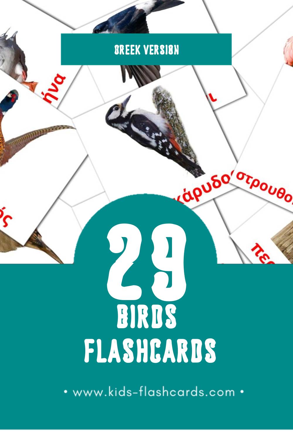 Visual Πουλιά Flashcards for Toddlers (29 cards in Greek)