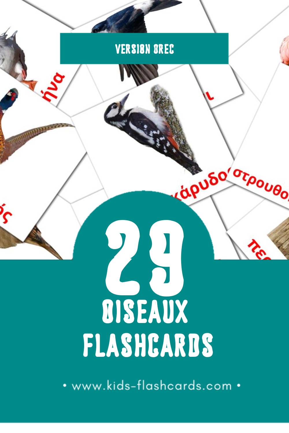 Flashcards Visual Πουλιά pour les tout-petits (29 cartes en Grec)