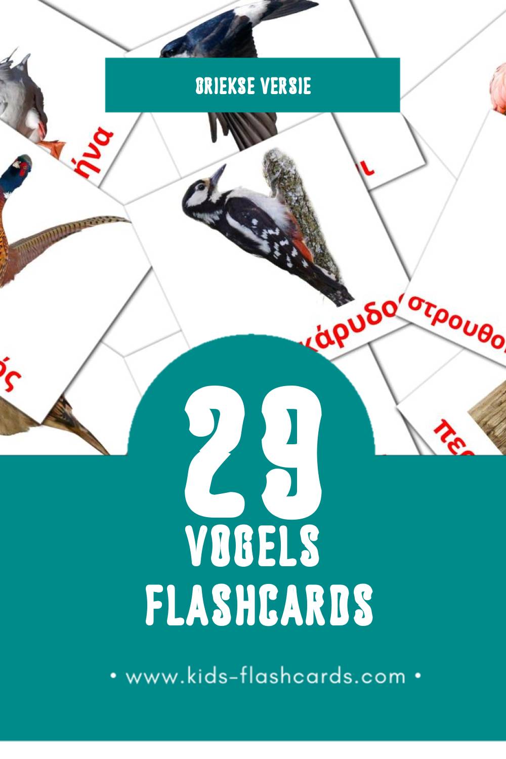 Visuele Πουλιά Flashcards voor Kleuters (29 kaarten in het Grieks)