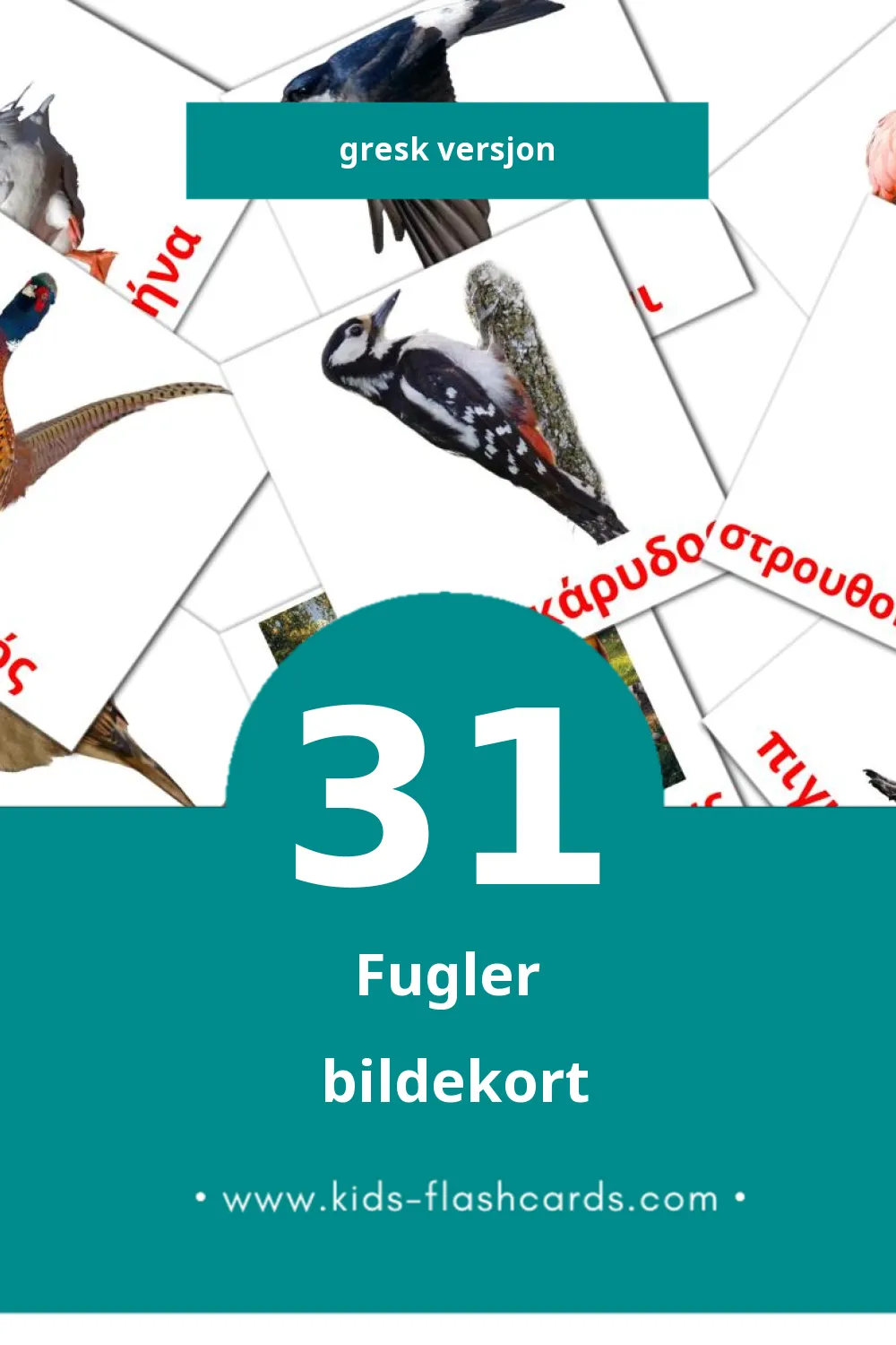Visuelle Πουλιά bildekort for småbarn (31 kort på Gresk)