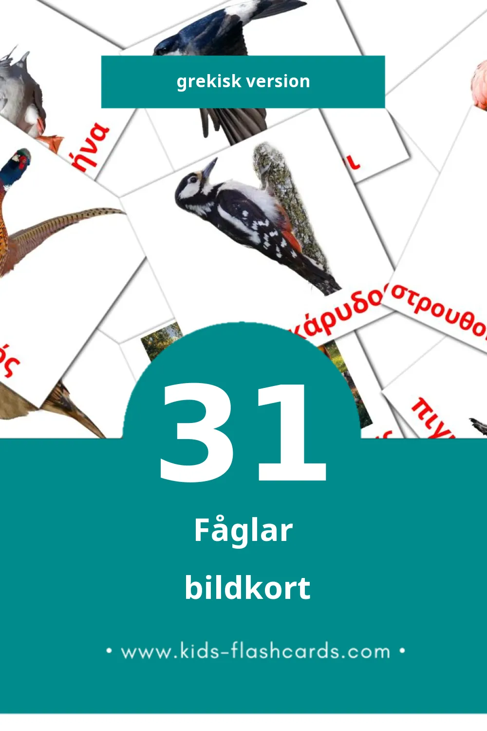 Visuella Πουλιά för småbarn (31 bildkort för barn på Grekisk)