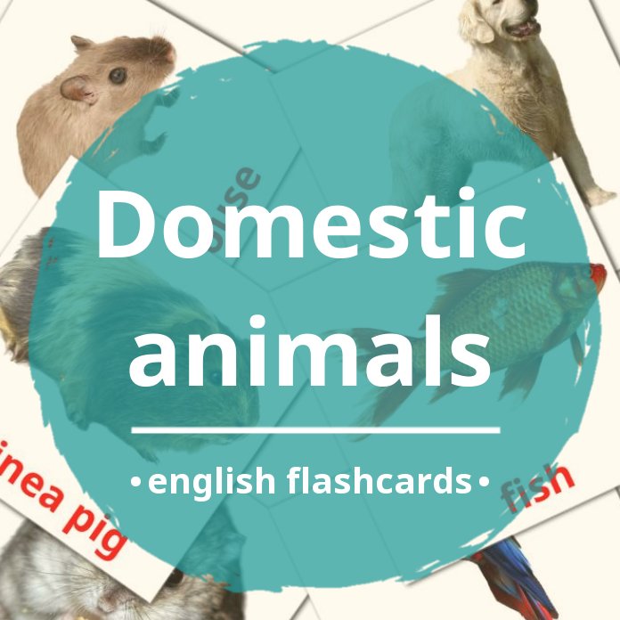 10 FREE Domestic animals Flashcards in 4 PDF formats | English Pictures
