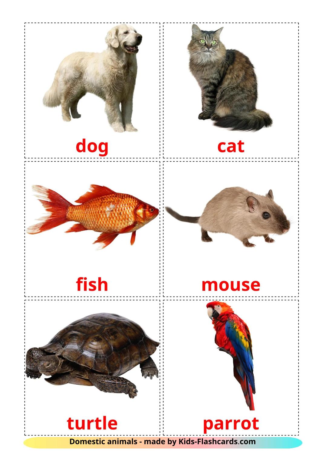 Domestic animals - 11 Free Printable english Flashcards 