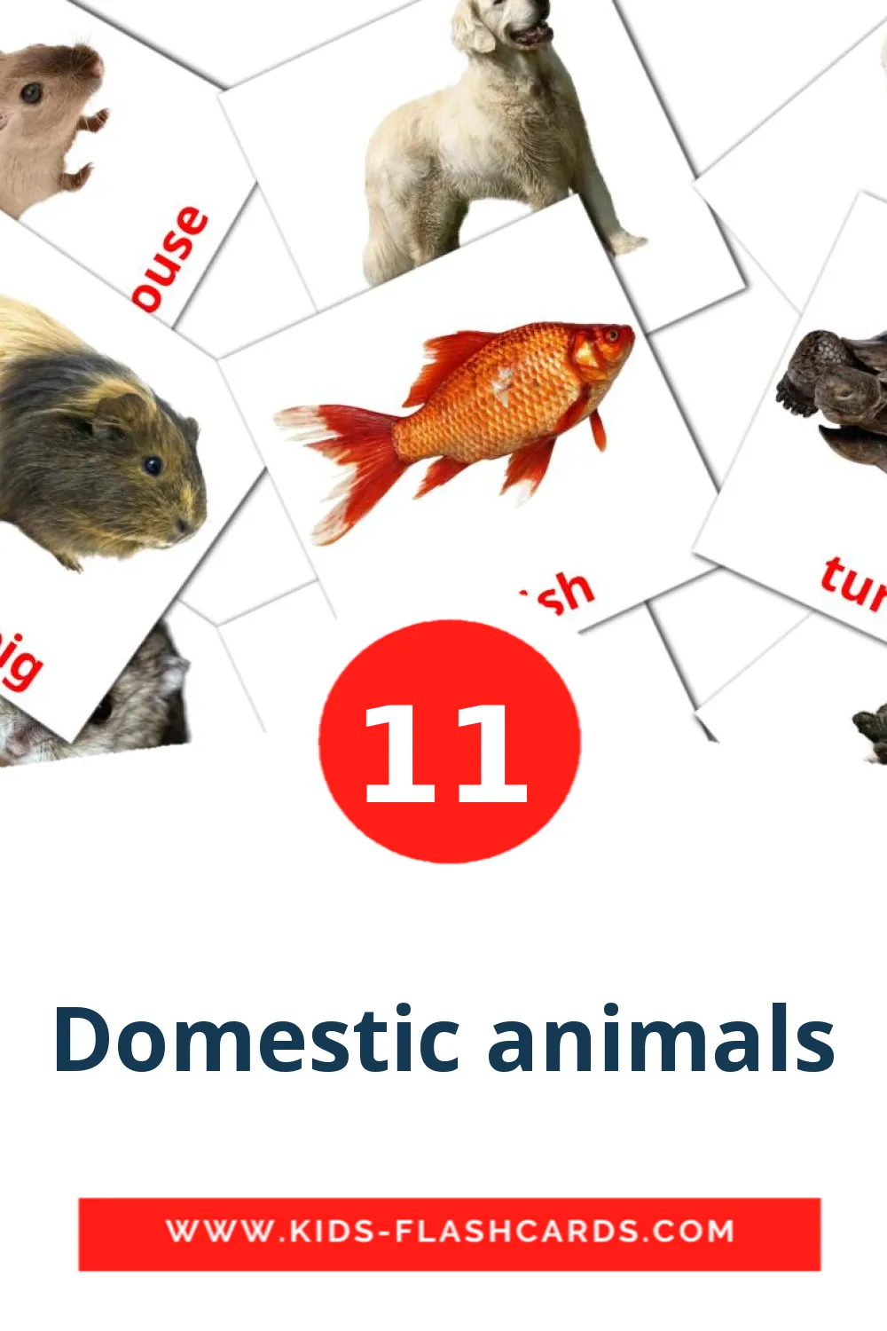 11 tarjetas didacticas de Domestic animals para el jardín de infancia en inglés