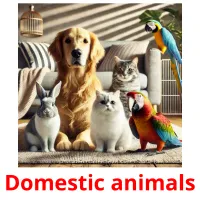 Domestic animals picture flashcards