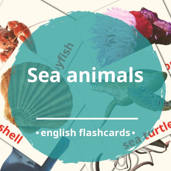 29 FREE Sea animals Flashcards in 4 PDF formats | English Pictures