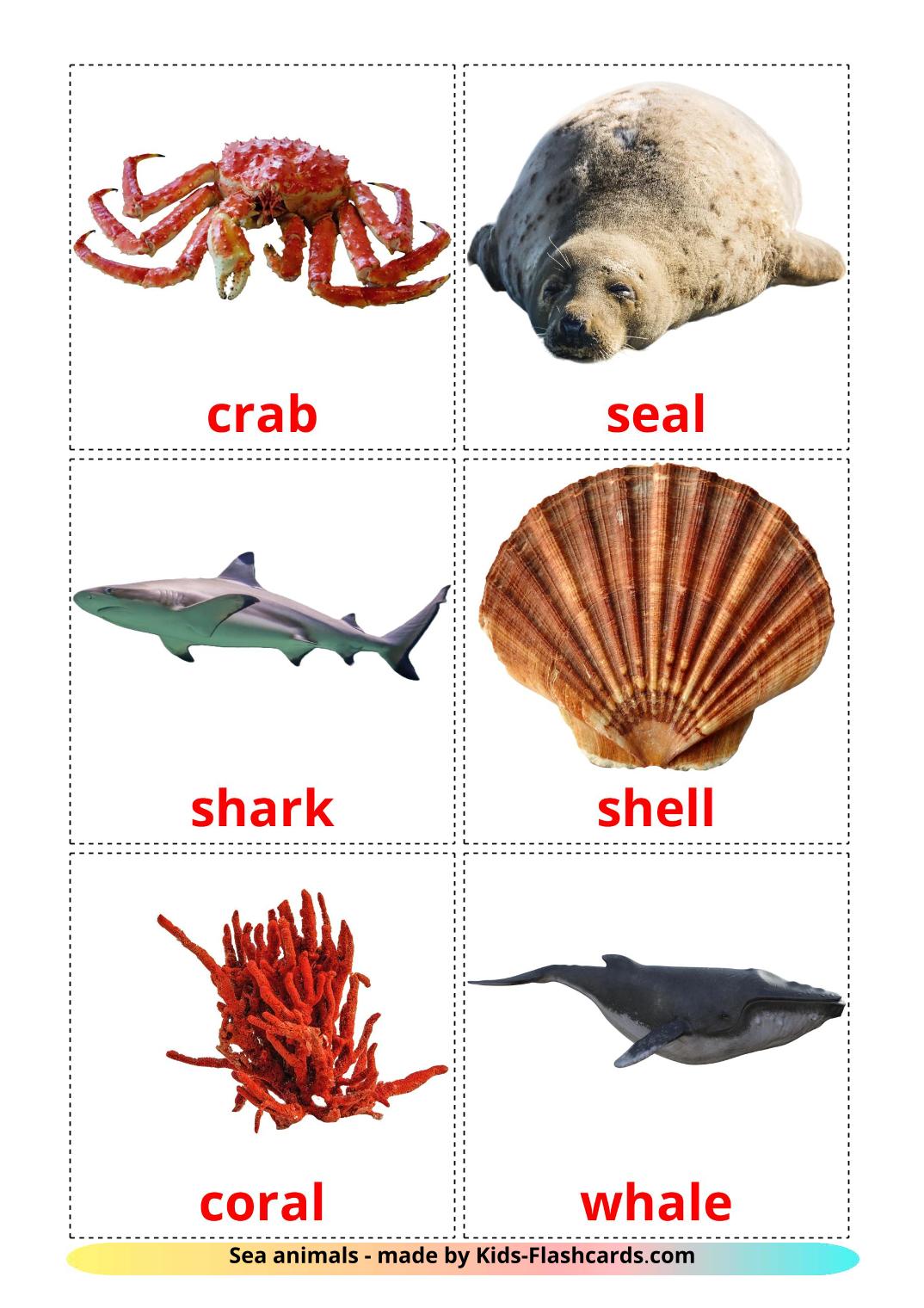 Sea animals - 29 Free Printable english Flashcards 