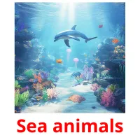 Sea animals cartões com imagens