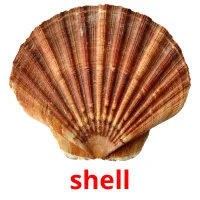 shell cartões com imagens