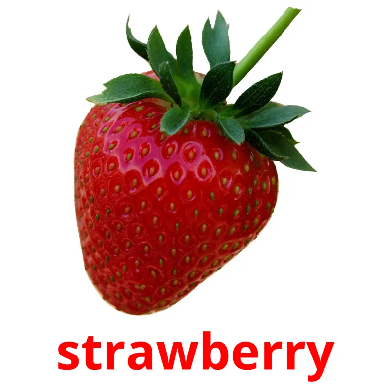My Image 24