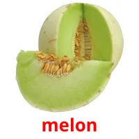 melon flashcards illustrate