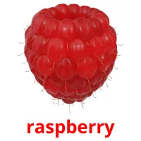 raspberry flashcards illustrate