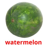 watermelon flashcards illustrate