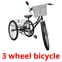 3 wheel bicycle cartes flash