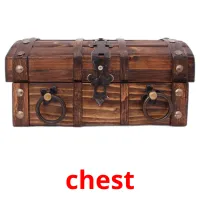 chest picture flashcards