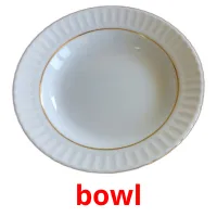 bowl Tarjetas didacticas