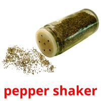 pepper shaker picture flashcards