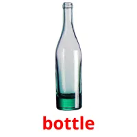 bottle карточки энциклопедических знаний