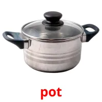 pot карточки энциклопедических знаний