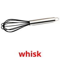 whisk карточки энциклопедических знаний