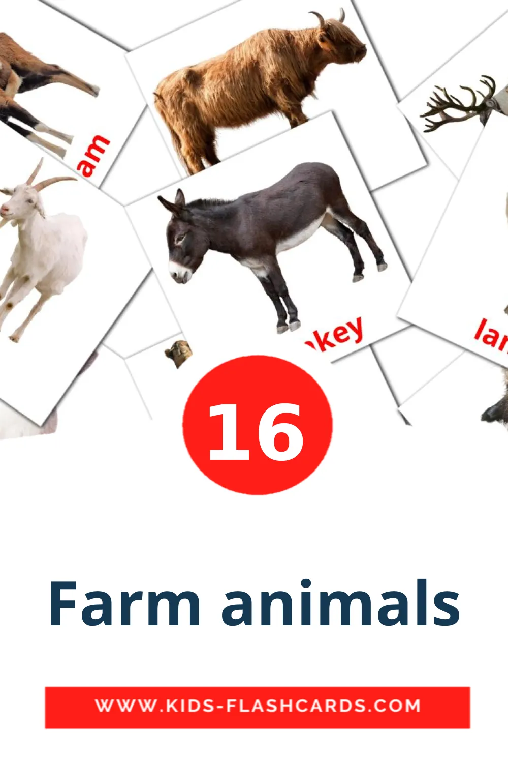 16 tarjetas didacticas de Farm animals para el jardín de infancia en inglés