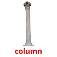 column picture flashcards